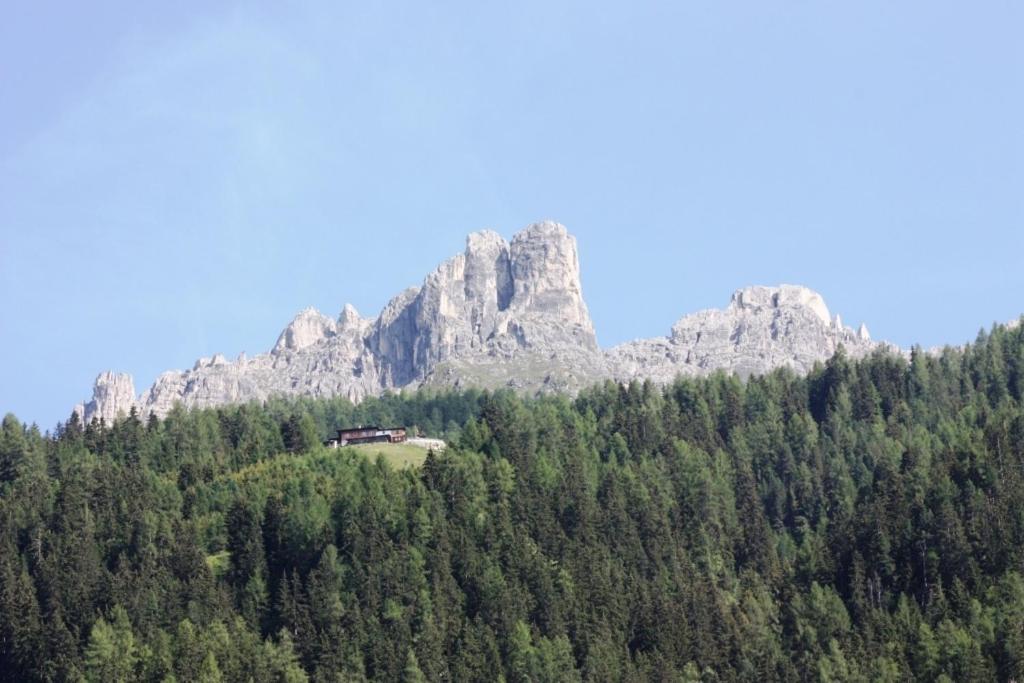 ניוסטיפט אים סטובאיטל Landhaus Alpensonne מראה חיצוני תמונה