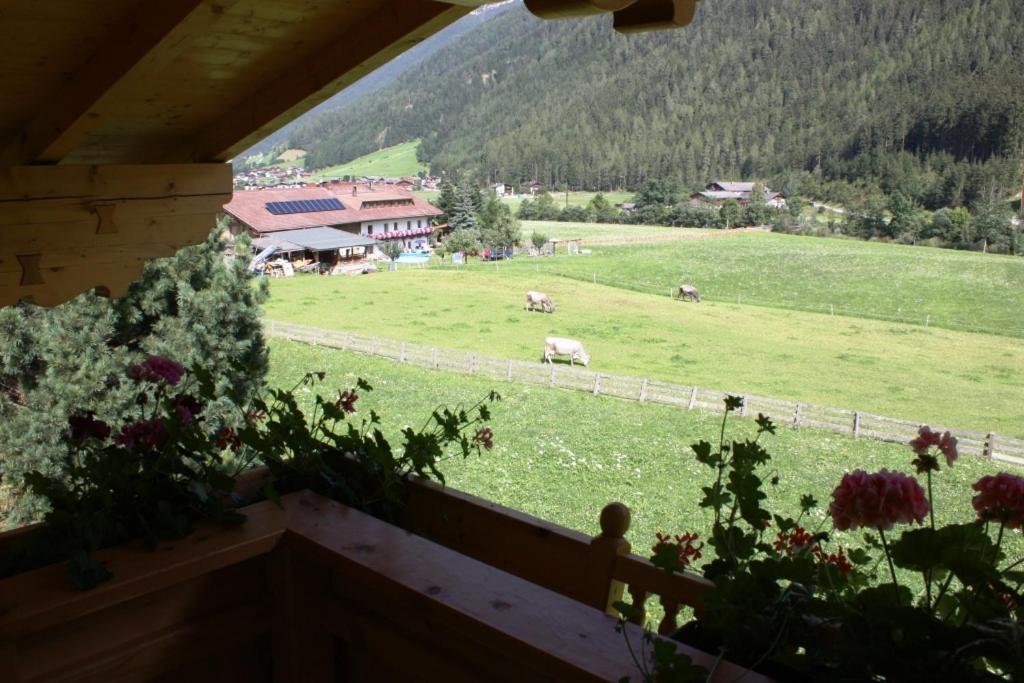 ניוסטיפט אים סטובאיטל Landhaus Alpensonne מראה חיצוני תמונה