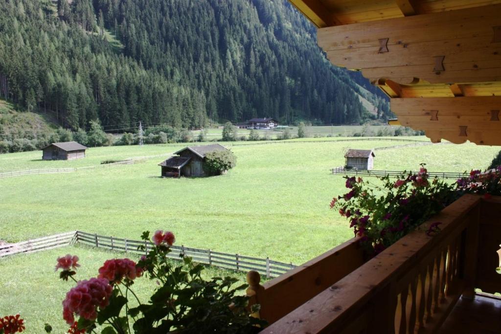 ניוסטיפט אים סטובאיטל Landhaus Alpensonne מראה חיצוני תמונה